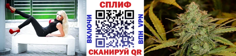 Шишки марихуана Amnesia  Чайковский 